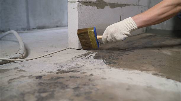 SJ Waterproofing Pros Emergency Waterproofing coverage map for Hector, NY and surrounding area